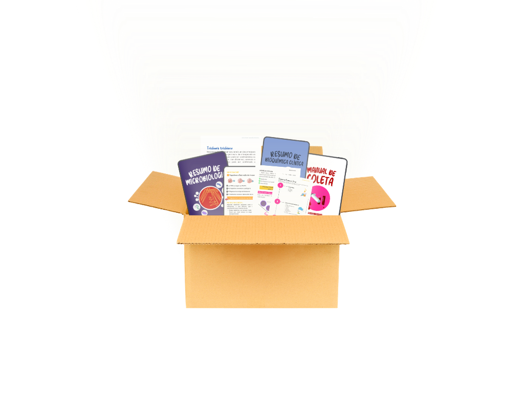 Mockup Pacote de Resumos